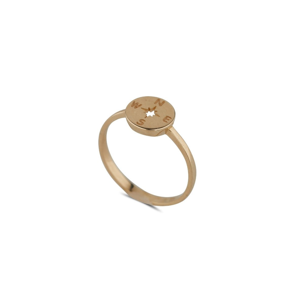 Gold hotsell compass ring